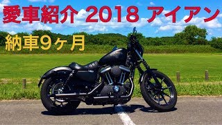 愛車紹介 2018 ハーレー スポーツスター 883N アイアン HARLEYDAVIDSON SPORTSTER IRON [upl. by Erbas]