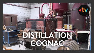 Cognac  eaudevie et distilllation au bois [upl. by Wylie]