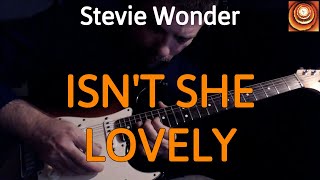 Stevie Wonder  Isnt She Lovely Guitar Cover by Luca Pilia [upl. by Zampino892]