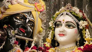 Tulasi Arati  ISKCON Arati Kirtan [upl. by Nyladgam]