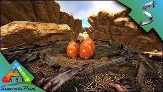 EQUUS TRAVELING PACK IN THE DESERT STEALING MORELLATOPS EGGS  Ark Survival Plus Gameplay E26 [upl. by Ecnahs]