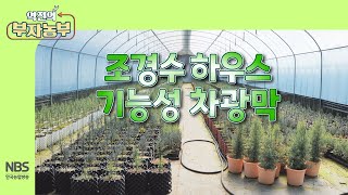 역전의부자농부 292회 조경수 하우스 기능성 차광막 [upl. by Marnie]