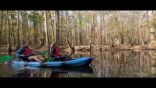 Congaree National Park 112724 [upl. by Llewoh]