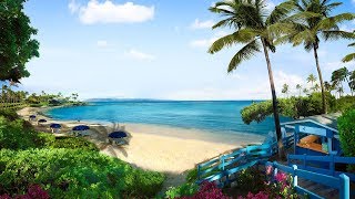 Top 10 Beachfront Hotels amp Resorts in Maui Hawaii [upl. by Uht]