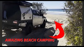 AMAZING K’GARI FRASER ISLAND ADVENTURE CRYSTAL CLEAR WATER AND WHITE BEACHES [upl. by Faucher]