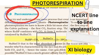 XI topic  Photorespiration  chap  Photosynthesis in higher plants NEET amp board aspirants [upl. by Eirallam]