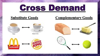 Cross Demand  Substitute Goods and Complementary Goods  Quickest amp Easiest Explanation in Hindi [upl. by Orenid]