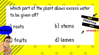 Grade 6 Science Test Questions with Answers Study Bites Episode 3 [upl. by Jesse]