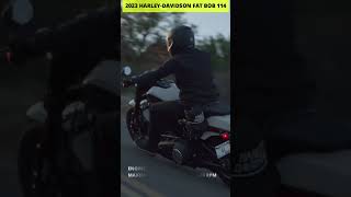 2023 HarleyDavidson Fat Bob 114 is Coming shorts [upl. by Uht]