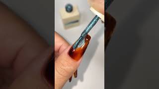 ✨🍂 Luxury Tortoise Nails What do u think varnail nailtutorial nailart cateyegel [upl. by Annayek]