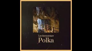 Liechtensteiner Polka  Cover Siegfried Schlag Tyros3 [upl. by Gearard]