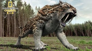 National geographic Documentary  Prehistoric predators  Wildlife Animals [upl. by Pudens726]