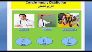 Phonology Lesson 4 comp Dist Free Variation Assimilation Elision [upl. by Tod]