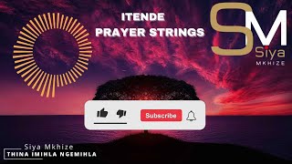 Itende PRAYERPREACHER STRINGS  Thina Imihla Ngemihla🔥🙌🙏👌🎺 [upl. by Erroll]