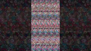 Mix and Match stereogram illusion [upl. by Aiciled394]