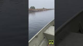 MudSkipper Twister®️ XL long tail mud motor powers this 1436 jon boat with duromax 16hp engine [upl. by Garvin258]