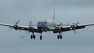 Red Bull The Flying Bulls DC6 TakeOff and Landing at Duxford Aerodrome [upl. by Anileda]