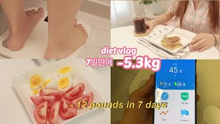 eng일주일다이어트✨운동없이 식단으로 7일53kg 🔥 49kg를 향하여  단기다이어트브이로그diet vlog [upl. by Kcid827]