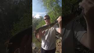 Potential PB pickerel [upl. by Calvin]