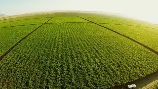 Agricultura de Presición en Argentina  TvAgro por Juan Gonzalo Angel [upl. by Dolli]