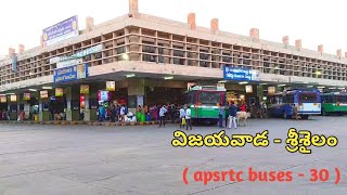 Vijayawada To Srisailam Buses  Apsrtc Bus Timings  Bus Ticket Price  Bus route [upl. by Akcira]