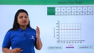 Class 9th – Velocity  Time Graph  Motion  Tutorials Point [upl. by Shaughn]