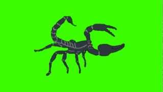 Vids4kidstv  Halloween Special Part 2  Scorpion [upl. by Ottavia]