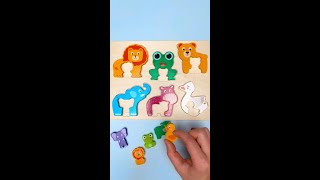 Baby Animals Names amp Facts For Toddlers kidslearning [upl. by Euell]