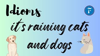 Demystifying Idioms What Does Its Raining Cats and Dogs Really Mean [upl. by Tremain]