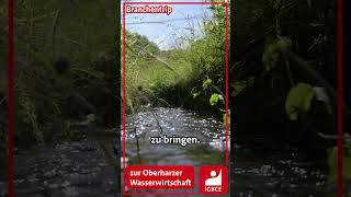 Branchentrip zur Oberharzer Wasserwirtschaft [upl. by Anigroeg]