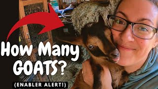 How Many Goats are Needed for Dairy Independence Beginner GoatKeeper Considerations [upl. by Airdnaxela]