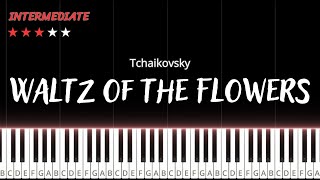 Waltz of the Flowers  Tchaikovsky  INTERMEDIATE Piano Tutorial [upl. by Kciredorb710]