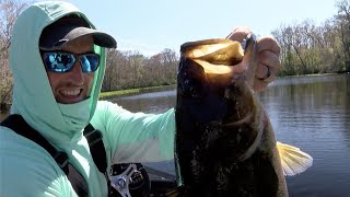 2020 Bassmaster Elite at St Johns River TV [upl. by Atnauqahs]