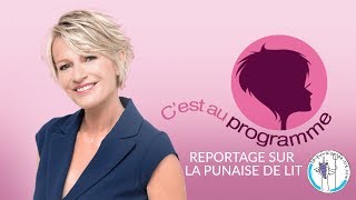 Punaises de Lit  Cest Au Programme sur France 2  Comment Se Débarrasser Des Punaises de Lit [upl. by Aikam]