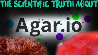 The Scientific TRUTH About Agario Theory [upl. by Allan]