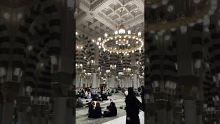 muslim umrah travel airport traveling umrah makkah medina [upl. by Elatia]