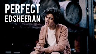 Perfect  Ed Sheeran Cover by Alexander Stewart [upl. by Nitsur]