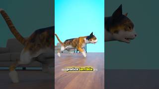 UNA TERRIBILE PRATICA SUI GATTI credits ​⁠zackdfilms [upl. by Rebor]