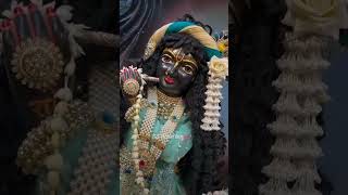 Jai shree radhe ♥️🙏🥰trendingshorts youtubeshorts viralshort radhekrishnalovers new foryou [upl. by Malanie893]