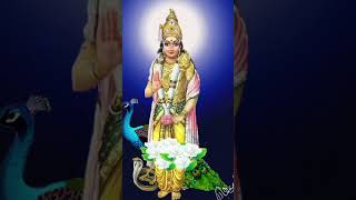 Vetri vel muruga🙏🏻murugan vetrivelmuruganukuarogara velmuruga [upl. by Shakespeare]