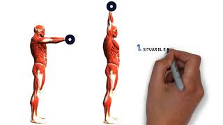 Neuromecánica para Dummies Torque [upl. by Nnaillij586]