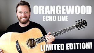 Limited Edition Orangewood ECHO  Checking out the New Features [upl. by Ahsinat]