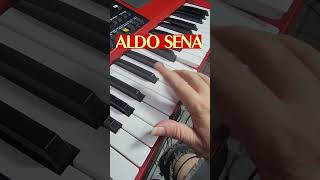 SOLO GUITARRADA CERCANDO O FRANGO ALDO SENA SHORT [upl. by Chadburn]