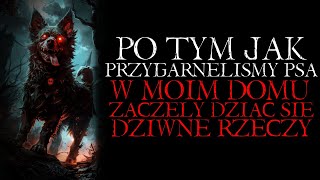 Po Tym Jak Przygarnęłam Psa w Moim Domu Zaczęły się Dziać Dziwne Rzeczy  Reddit NoSleep Creepy [upl. by Clevey]