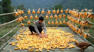 Harvesting amp Storing Corn In Farm  Sell Chickens To Traders  Solo Survival [upl. by Blondell]