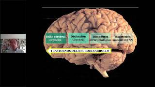 Evaluación neuropsicológica infantil CUMANIN2 [upl. by Ainer727]