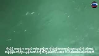 Knowledge Video for New Seamen  Nature of Marine Life [upl. by Alil]