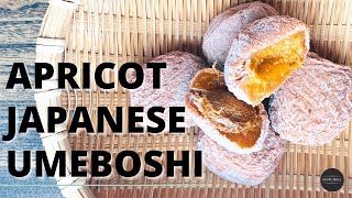 Japanese Umeboshi Recipe Use Apricot To Make Authentic Umeboshi At Home No Ume Plum Needed [upl. by Hakeem421]