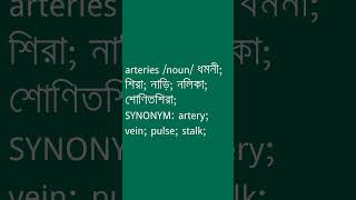 arteries Meaning in Bengali  arteries শব্দের অর্থ কী  Ovinary [upl. by Hsirk]