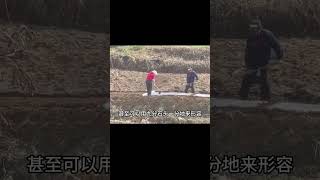 廣西山村一聲巨響過后，400畝良田變湖泊，湖里還有撈不完的大魚 紀中百事 古董 開棺 古墓 考古發現 [upl. by Trinatte696]